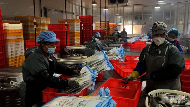 滨州60余家渔业企业 备战春节水产品市场供应