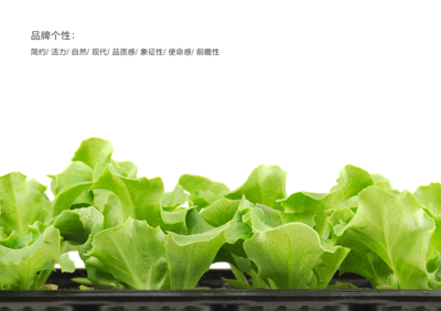农产品蔬菜品牌logo设计